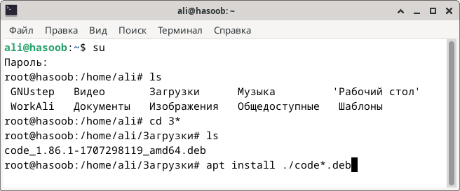 apt install ./code*.deb